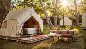 Wake up in the clouds—glamping perfection in Vietnam